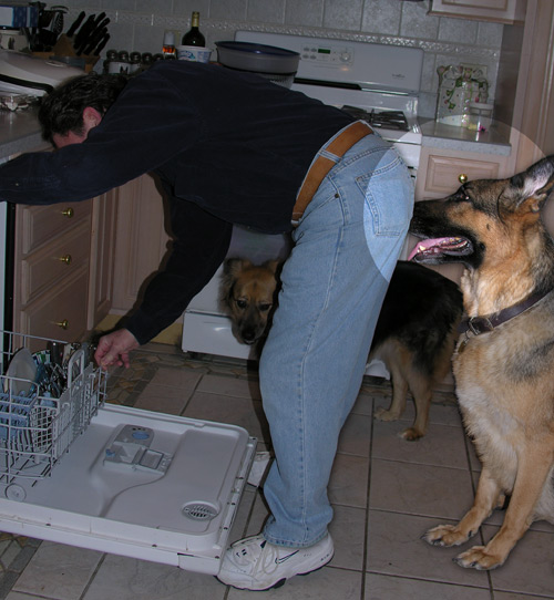 Zima gooses Dad as he cleans out the dishwasher