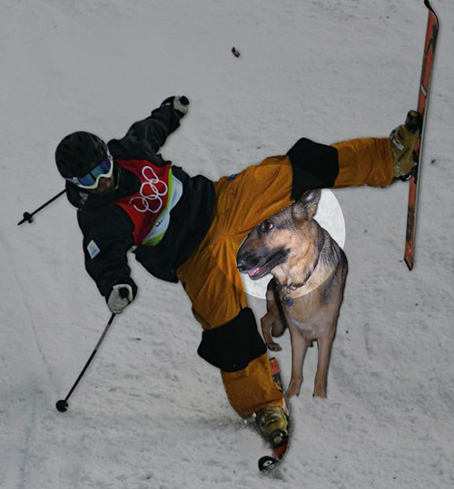 Zima gooses the skier
